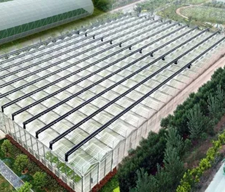 Kỹ thuật kết cấu thép của Dự án nông nghiệp kỹ thuật số Alibaba Thượng Hải